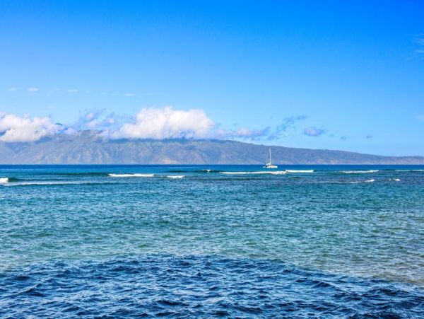 Oceanfront Maui Vacation Rental - Luxurious 2-Bedroom Condo