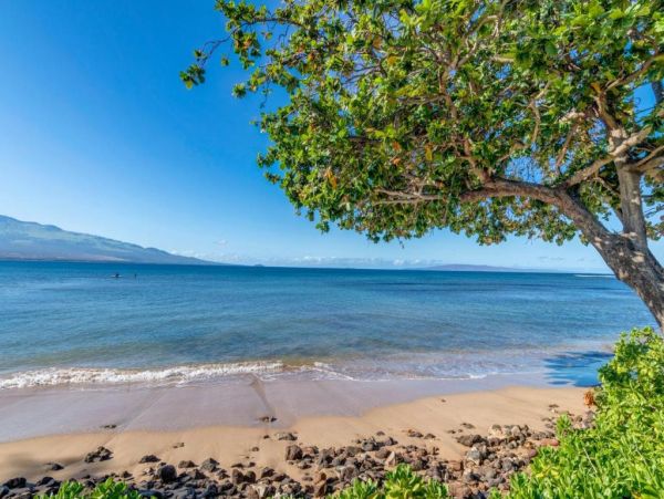 Stunning Oceanfront Condo in Maui - Perfect Getaway for Families & Friends