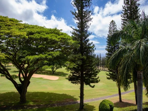 Kapalua Vacation Rentals - Luxury Maui Accommodations for Groups