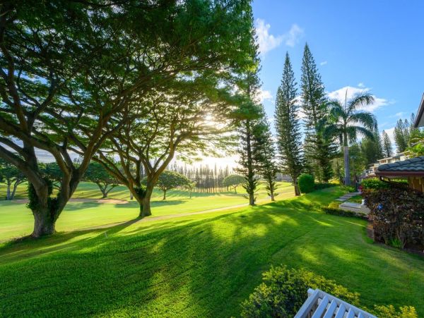 Kapalua Vacation Rentals - Luxury Maui Accommodations for Groups