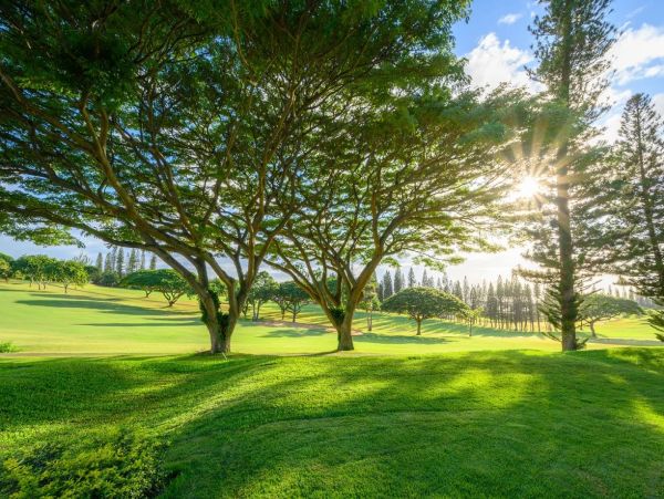 Kapalua Vacation Rentals - Luxury Maui Accommodations for Groups