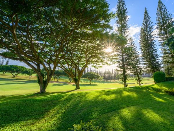 Kapalua Vacation Rentals - Luxury Maui Accommodations for Groups