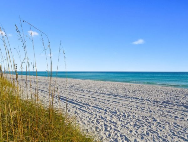 Miramar Beach 15 Bedroom Vacation Estate - Luxury Destin Estate Rental Main House & Guest House