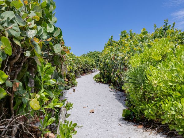 Captiva Island Vacation Rental – Florida Beachfront Estate