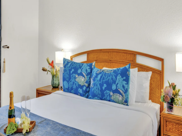 Napili Vacation Rental For Scenic West Maui Stays Ocean front
