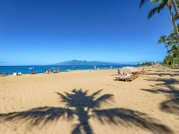 Luxury Maui Oceanview Condo On Kaanapali Beach For Groups up to 24