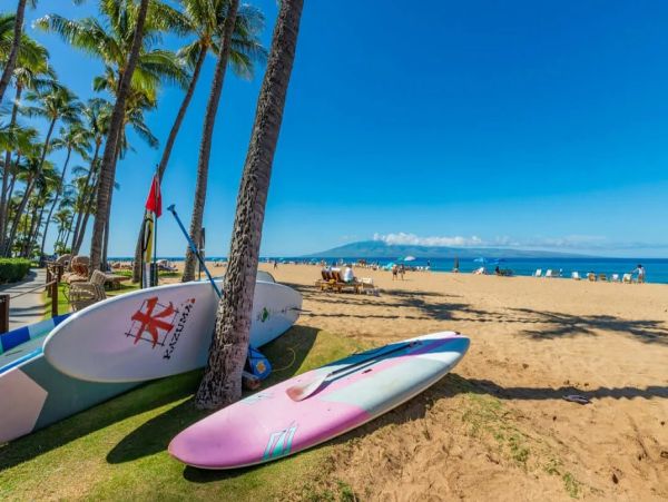 Luxury Maui Oceanview Condo On Kaanapali Beach For Groups up to 24
