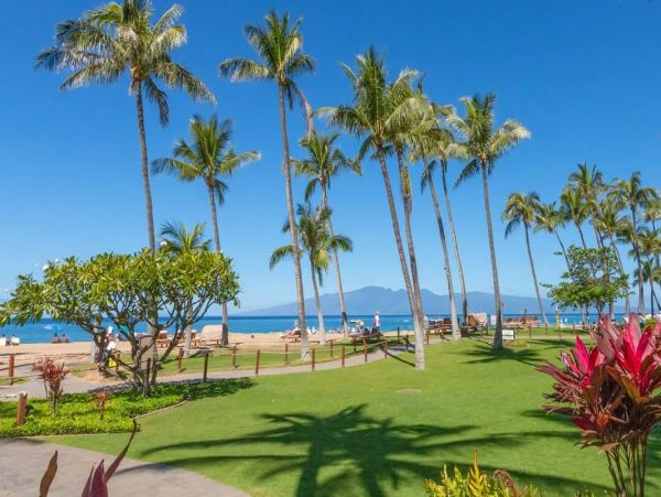 Luxury Maui Oceanview Condo On Kaanapali Beach For Groups up to 24