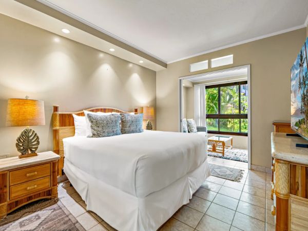 Luxury Maui Oceanview Condo On Kaanapali Beach For Groups up to 24