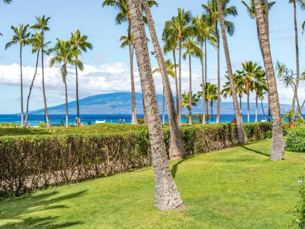 Luxury Maui Oceanview Condo On Kaanapali Beach For Groups up to 24