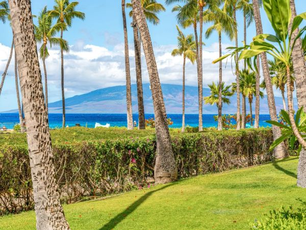 Luxury Maui Oceanview Condo On Kaanapali Beach For Groups up to 24