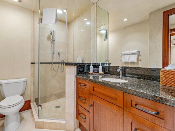 Luxury Maui Oceanview Condo On Kaanapali Beach For Groups up to 24