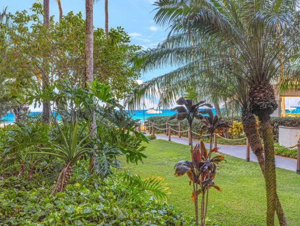 Luxury Maui Oceanview Condo On Kaanapali Beach For Groups up to 24