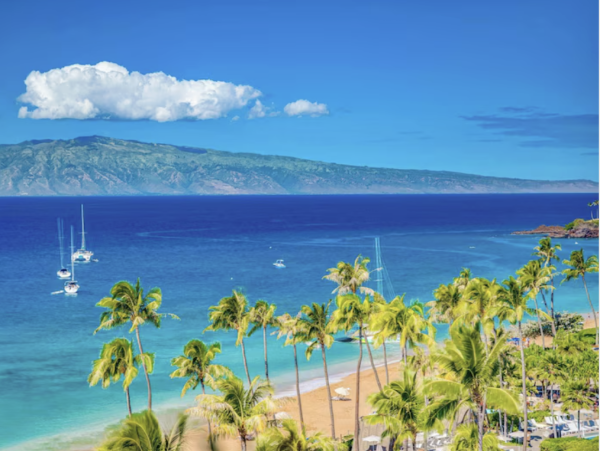 Luxury Maui Oceanview Condo On Kaanapali Beach For Groups up to 24
