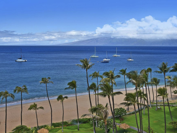 Luxury Maui Oceanview Condo On Kaanapali Beach For Groups up to 24