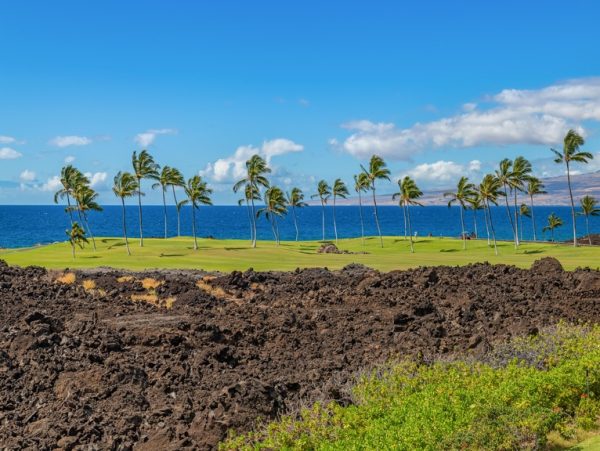 Kamuela Hawaii Villa - Big Island Vacation Rental Retreat