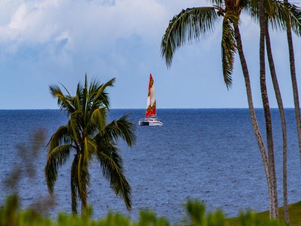 Kamuela, Hawaii Vacation Rental - Big Island Ocean View Condo