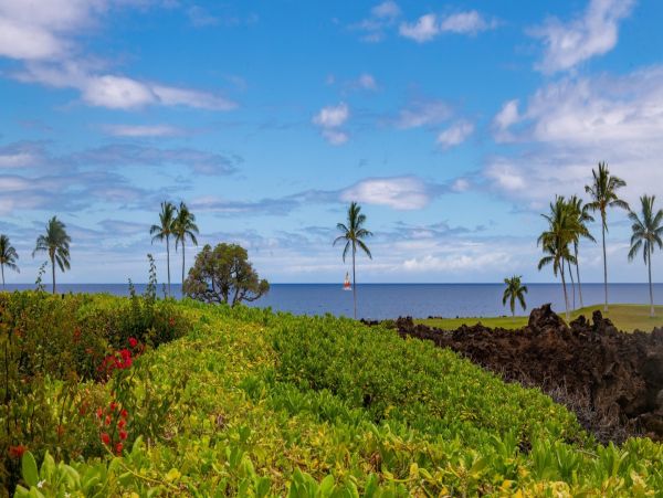 Kamuela, Hawaii Vacation Rental - Big Island Ocean View Condo