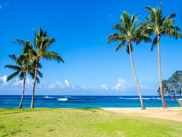 Poipu Four-Bedroom Home With Private Pool and Spa