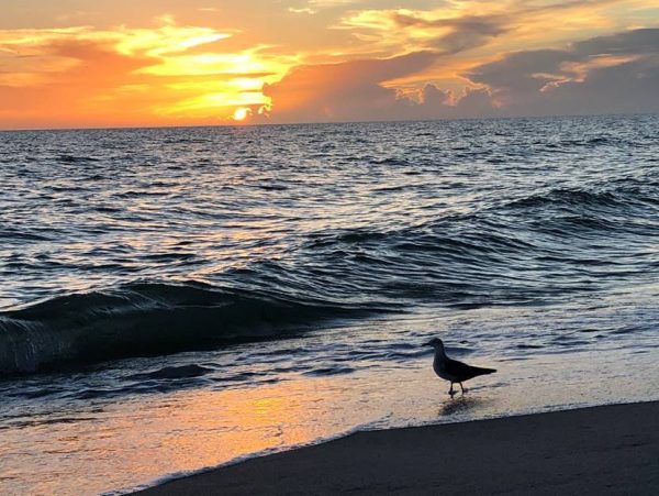 Beachfront Longboat Key Condo With Gulf Views
