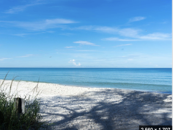 Naples Three-Bedroom Condo With Pool Views 4 Min Walk to Beach NEW ARRIVAL