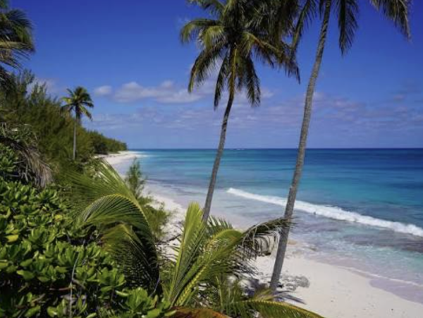 New Beachfront Estate Main House & Guest  House on Poponi Beach- Private Beach - additional view, photo 3