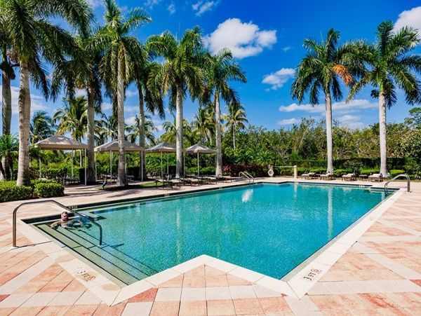 Luxury Naples Vacation Residence Views Pool - additional view, photo 2