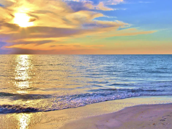 Spacious Treasure Island House Near The Beach Sleeps 24 NEW ARRIVAL - additional view, photo 2