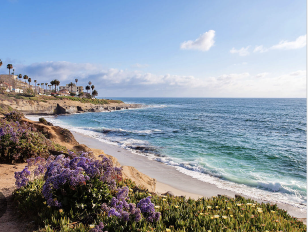 3 Bedroom La Jolla Vacation Rental in Bird Rock  Modern Interior - additional view, photo 2