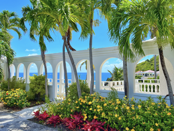 Luxury 5 Bedroom St. Thomas Private Villa with Private Pool - additional view, photo 5