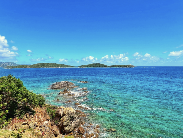 Luxury 5 Bedroom St. Thomas Private Villa with Private Pool - additional view, photo 3