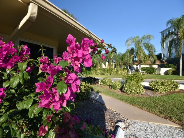 Siesta Key Three Bedroom Rental One Min Walk to Beach