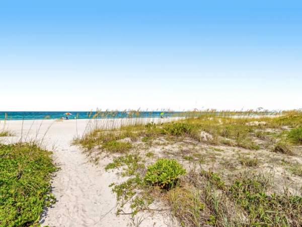 All About The Gulf Views!
