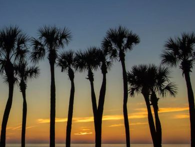 Two Bedroom Gulf Front Rental Holmes Beach