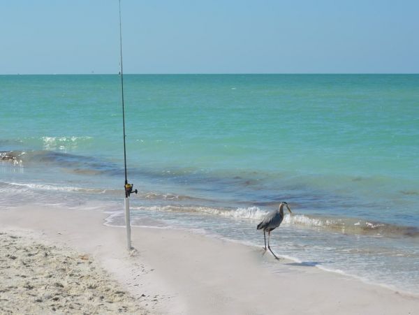 Beautiful Beachside Condo with Shared Pool in Holmes Beach