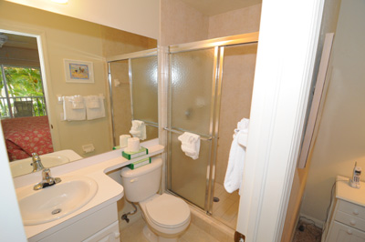 Master Bathroom with Walk-in Shower Master Bathroom with Walk-in Shower