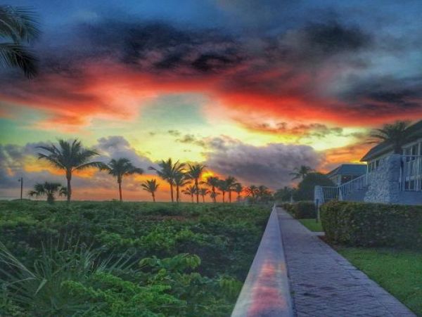 Lovely Beach Condo Views of Gulf & Pool