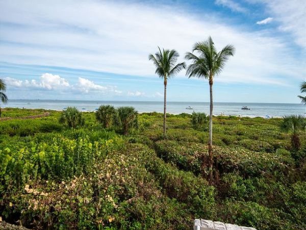Lovely Beach Condo Views of Gulf & Pool
