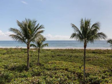 Beach View from Balcony