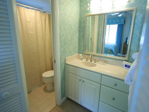 Master bathroom with shower Master bathroom with shower