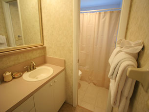 Guest bathroom with shower Guest bathroom with shower