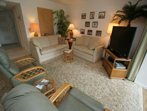 TV in living room