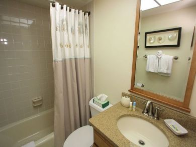 Bathroom with Shower in Tub