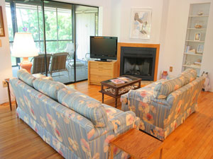 Living room with TV & fireplace