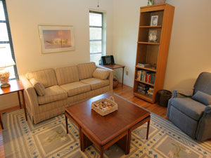 Den with sleeper sofa