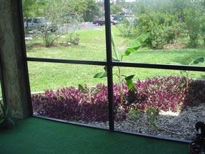 Courtyard view
