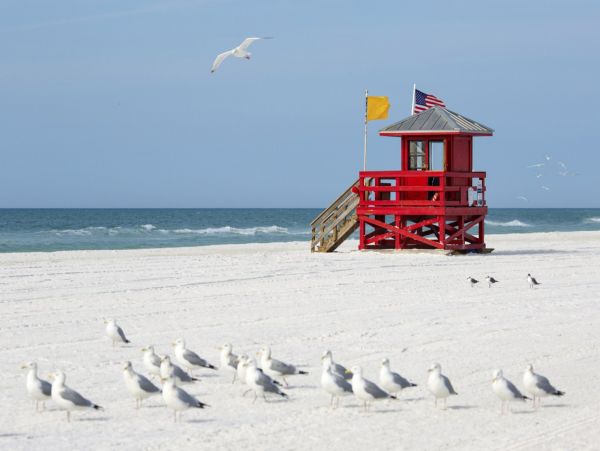 Siesta Key Three Bedroom Vacation Pool Home Sleeps 8