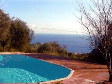 Private pool with ocean view