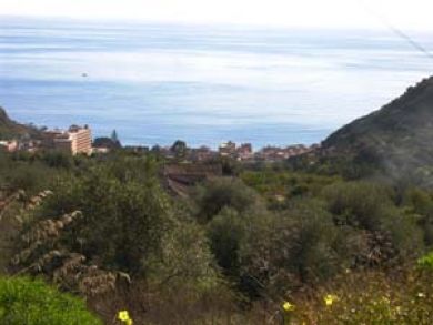 Beautiful ocean views from property