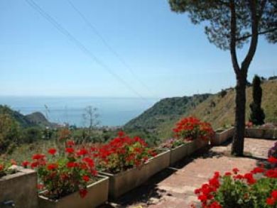 Large panoramic terrace with ocean view